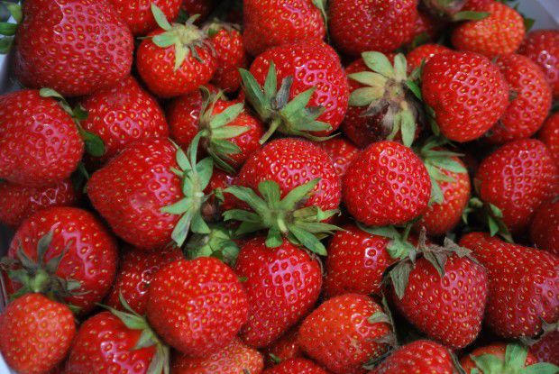 Garwood Orchard and Farm Market